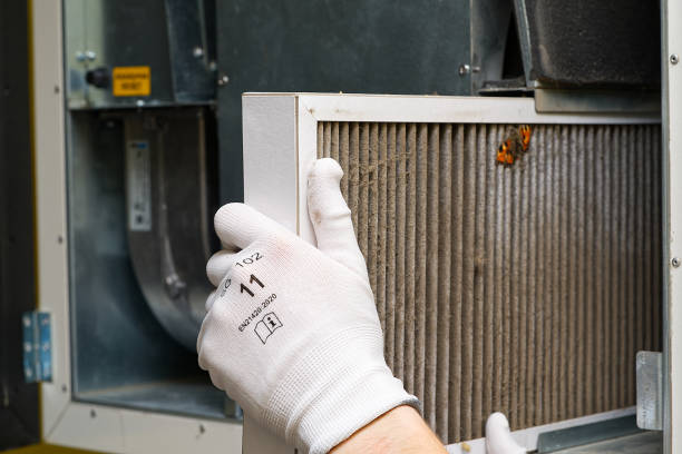 Best Local Air Duct Cleaning Services  in Brentwood, MO