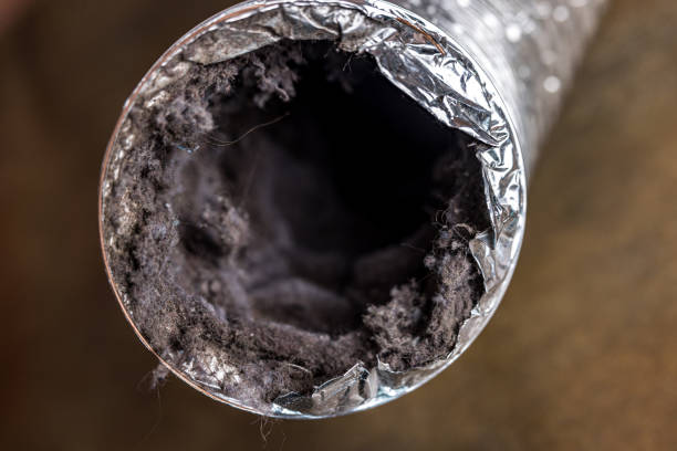 Best Air Duct Cleaning Near Me  in Brentwood, MO